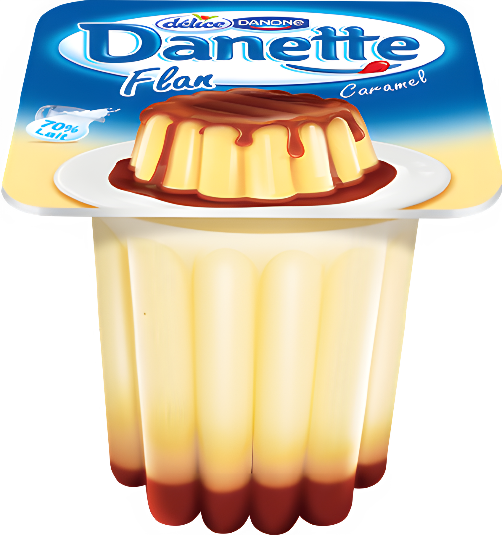 DANETTE FLAN 1 (1)
